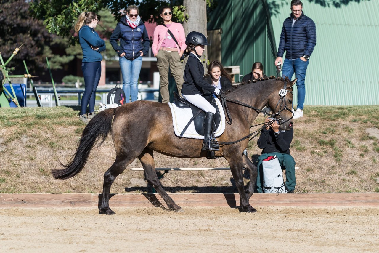 Bild 74 - Pony Akademie Turnier